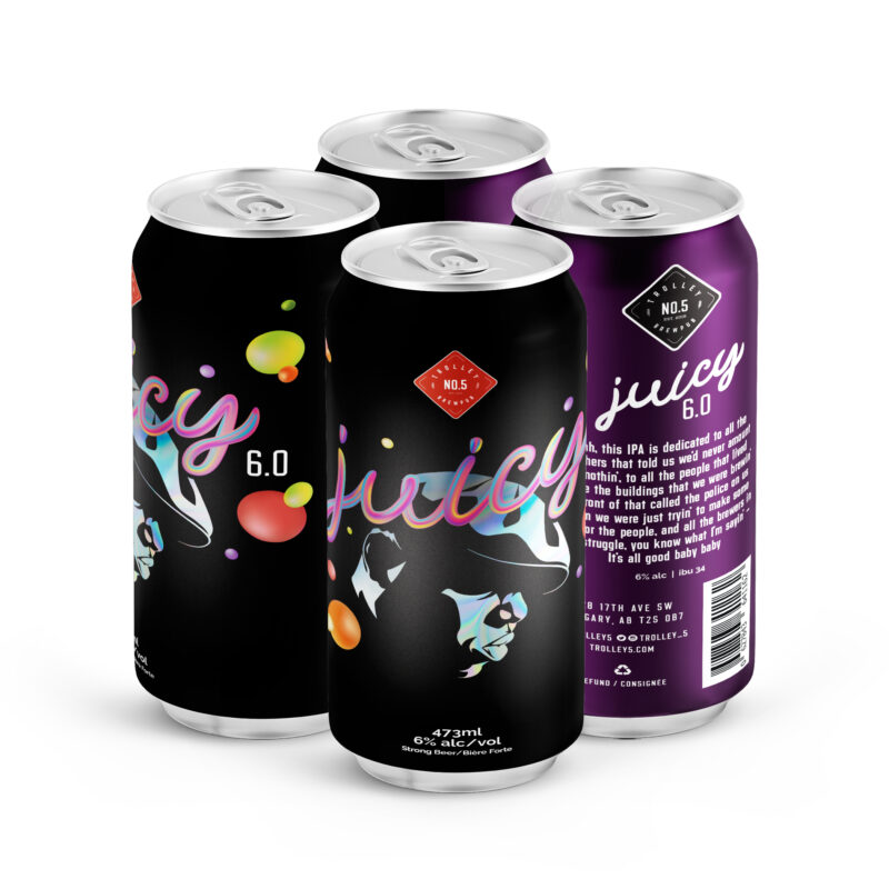 JUICY 6.0 IPA - 4PACK
